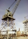 Cranes