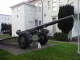 Cannon