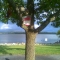 4 - Red Hat!