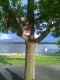 4 - Red Hat!