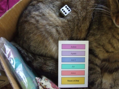 Killer-Cat Tiger Feet