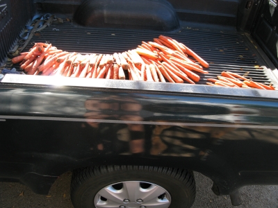 Naked in the parking lot.