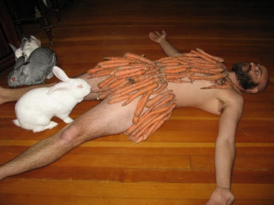 Here come the bunnies!