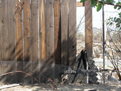 Backyard fence