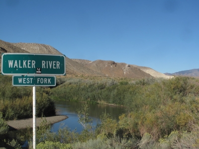 The Walker River's North Fork