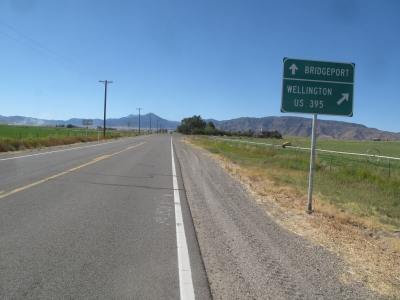 I chose the long road to Wellington