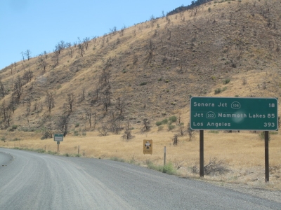 From a moving automobile