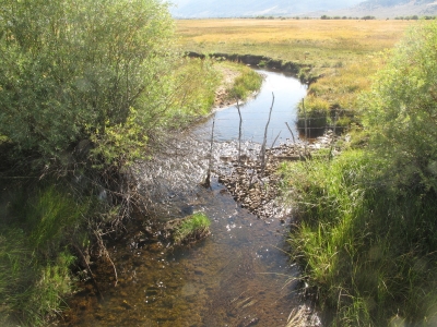 A creek in Bridgeport