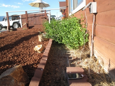 I stole Michaela's power