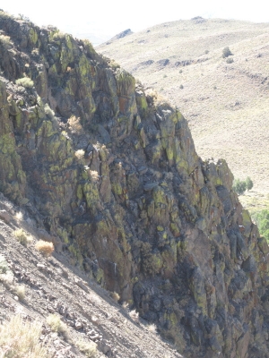 No really. Look at them.