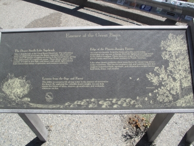 Essence of the Great Basin