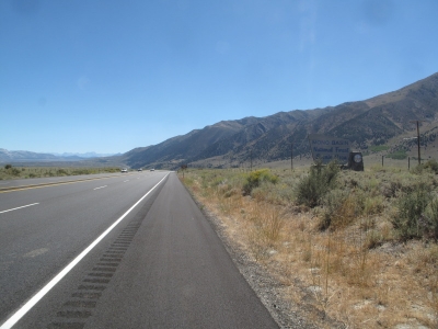 Mono Basin National Forest