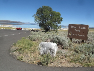 Mono Lake Tufa