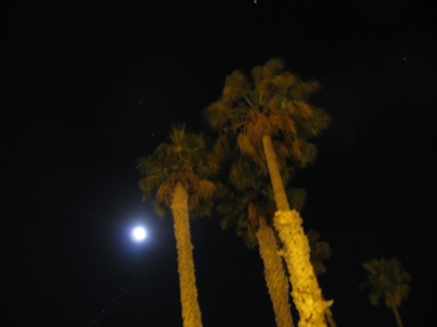 Night sky Night sky