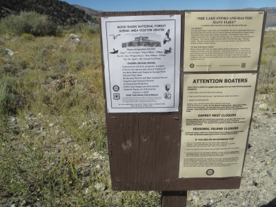 "The lake stinks and has too many flies!"