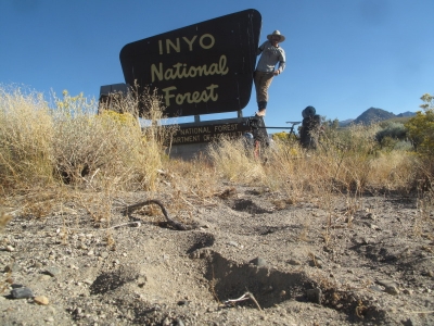 Who's Inyo National Forest?