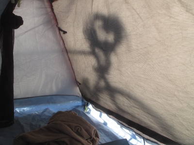Sunrise shadow on my tent wall