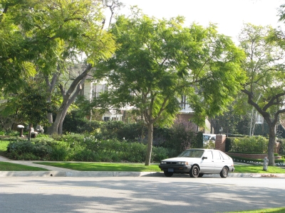 Barbapoca's is the only car on the street.