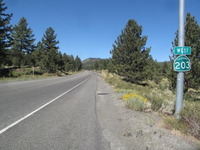 Highway 203