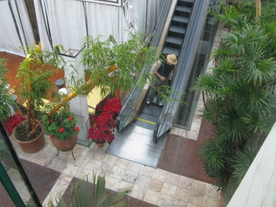 Barbapoca exploring on his own