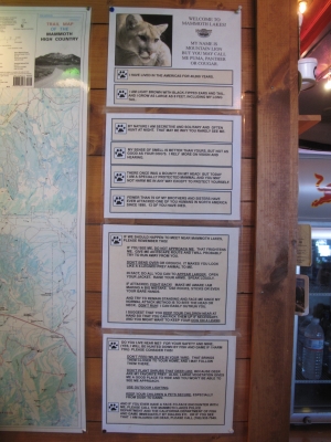 My name is Mountan Lion