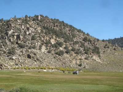 See that cool little house?