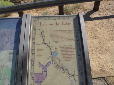 Life on the Edge