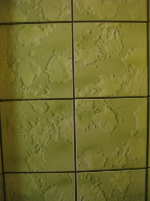 Those are tiles. Tiles printed to look wet. Yes.