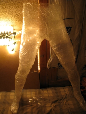 Attach the legs to the hips