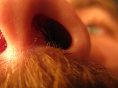 Up the nose Up the nose