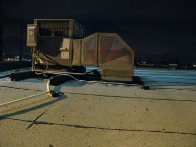 Photo Competition Photo: "Wild Card #5"