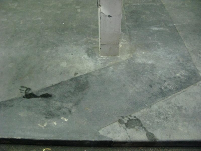 Photo Competition Photo: "Wild Card #2"