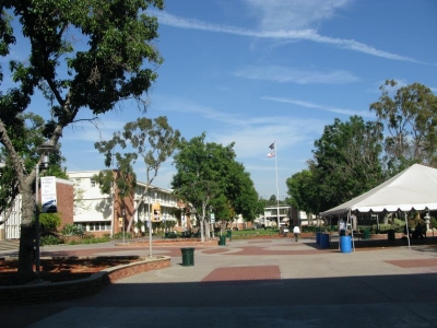 LACC