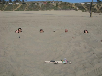 We are the Human Seed.