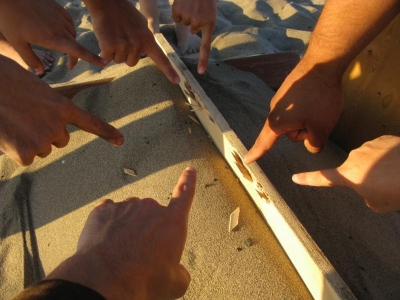 Look! Look! Look! Look! Look! Look! Look!