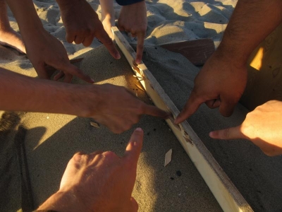 Look! Look! Look! Look! Look! Look! Look!