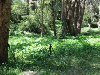 The burial spot