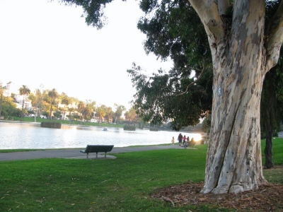 Park Dadaism ~Waldo Park Dadaism ~Waldo