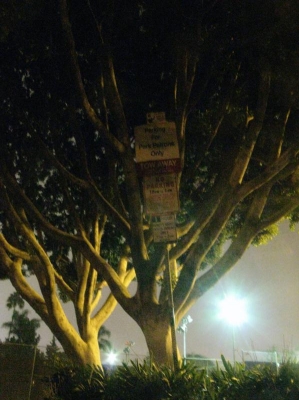 A ridiculous amalgam of signs ~Waldo A ridiculous amalgam of signs ~Waldo