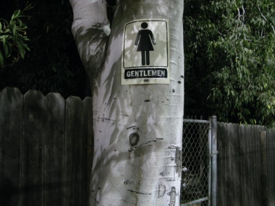 On one tree... ~Waldo