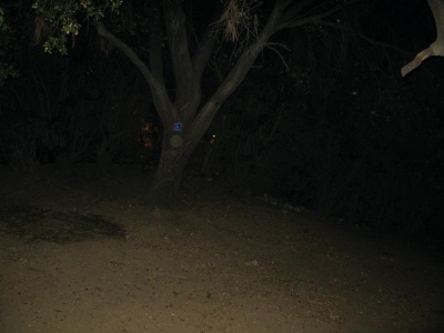 And the sign is even easy to see at night! ~Waldo And the sign is even easy to see at night! ~Waldo
