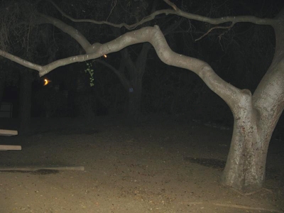As night deepened for the second time on our task... ~Waldo As night deepened for the second time on our task... ~Waldo