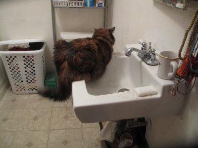 Mr. & Mrs. Kickass's house