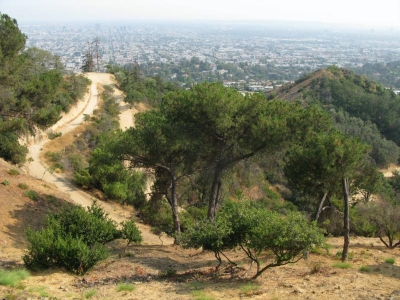 View from the checkpoint