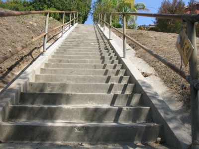 Journey To The End Of The Night Five Years Running