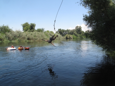 Flying