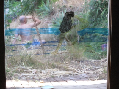 Room With A (Better) View