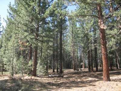 What a view to wake up to.