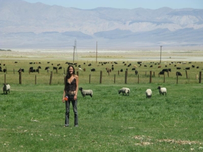 Jennifer and sheep
