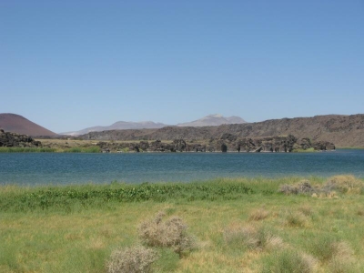 Oasis